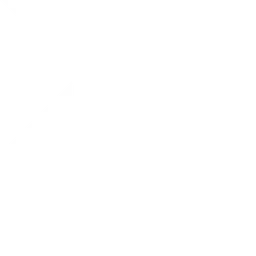 Advanced Micro Devices