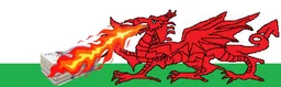 Cymru Financials